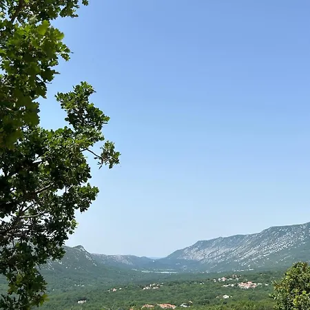 Ljubica *