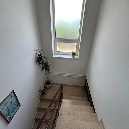 Ljubica تْسْغيكفانِتْسا