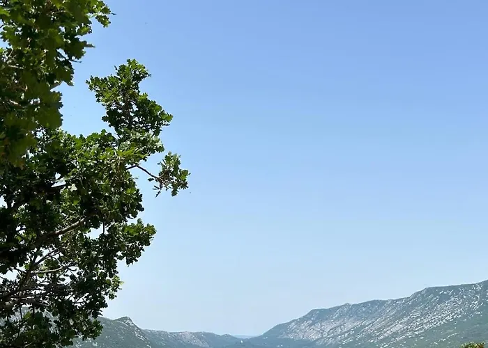 Ljubica *
